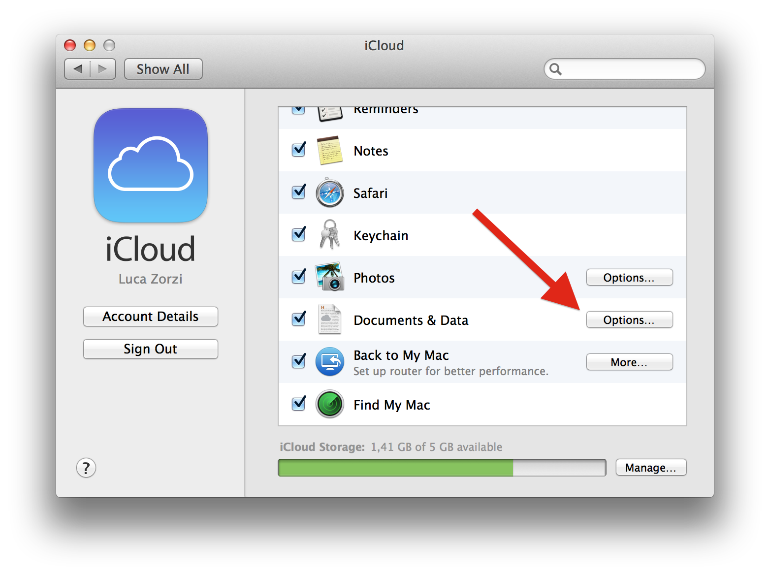 System Preferences/iCloud/Documents & Data/Options…