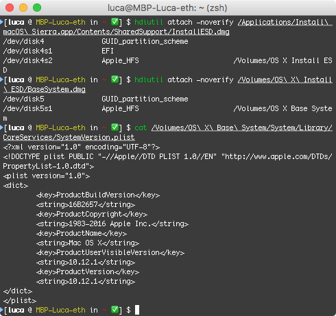 Screenshot of Terminal showing the commands to run